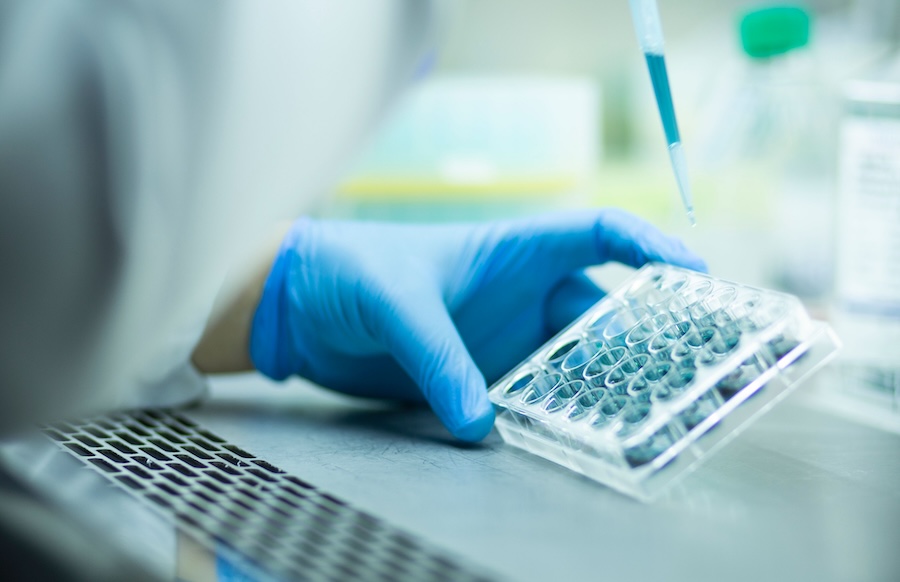 A chemist wearing protective gloves conducting a scientific experiment in a laboratory
